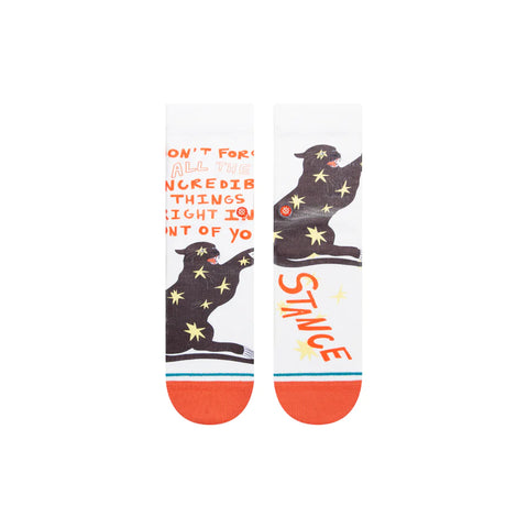 ELENA FIORENZA X STANCE WOMENS INCREDIBLE THINGS CREW SOCKS