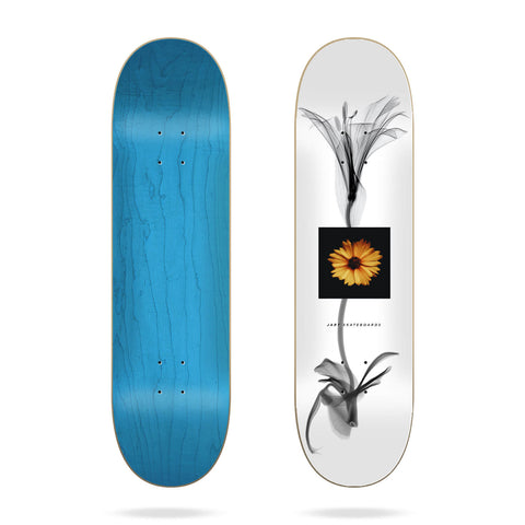 JART - X-RAY (8.25)